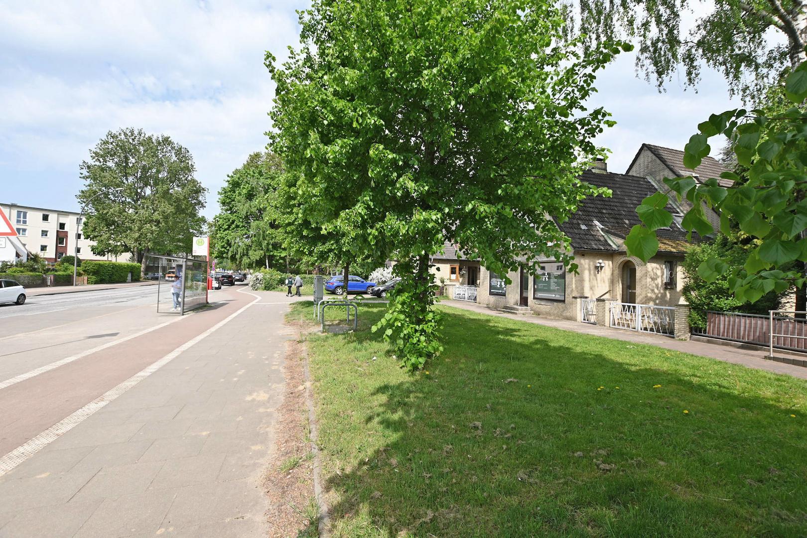 Blick Grünstreifen und Bushaltebucht