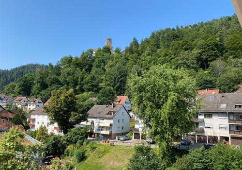 Blick auf die Burg