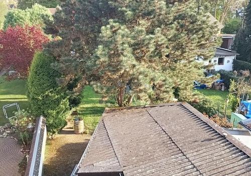 OG2 Blick auf Anbau und Garten