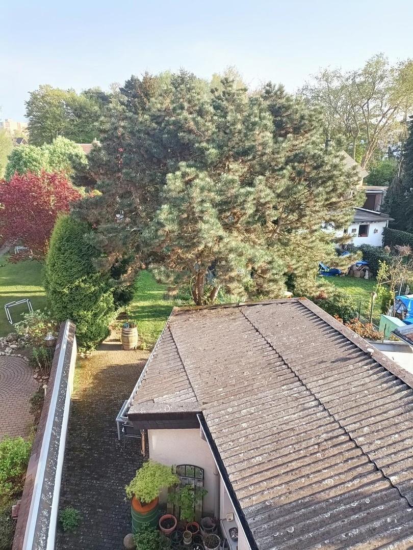 OG2 Blick auf Anbau und Garten