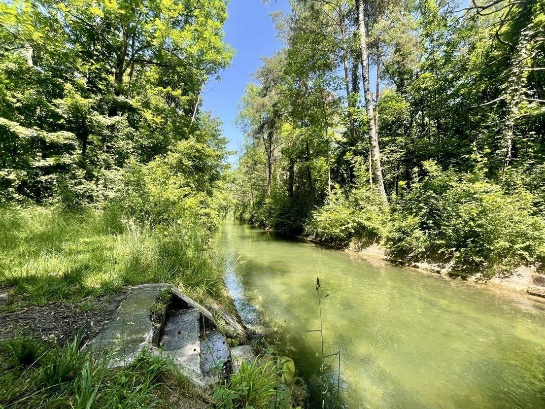 angrenzender Lochbach - Badestelle