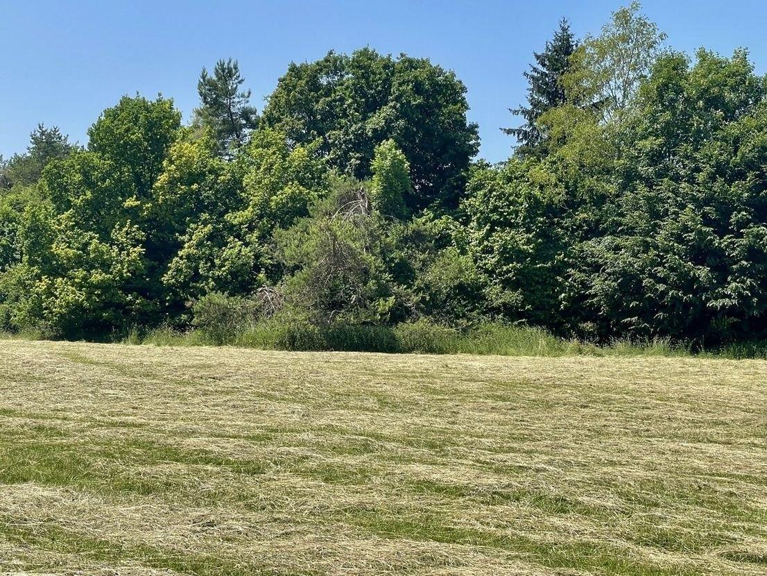 Rückseite Grundstück - Heide