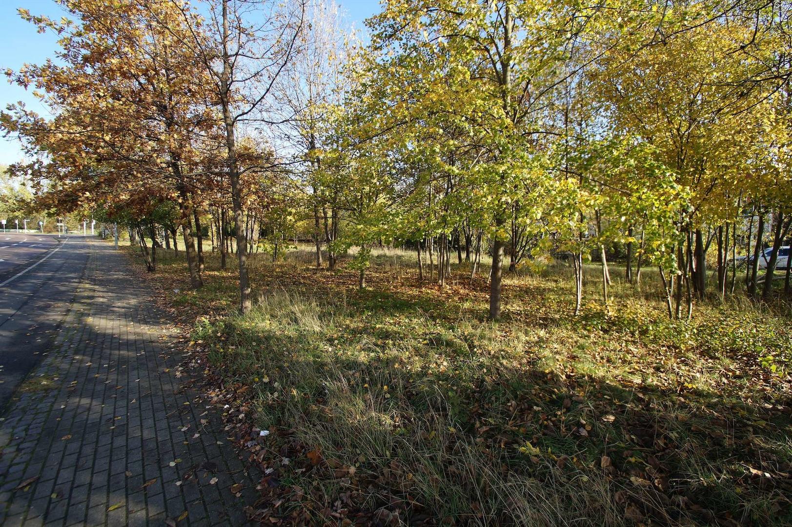 Blick auf das Grundstück