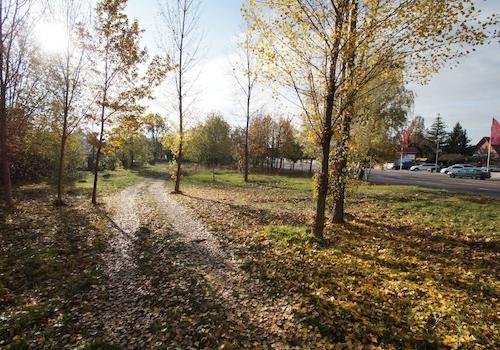 Blick auf die Straße