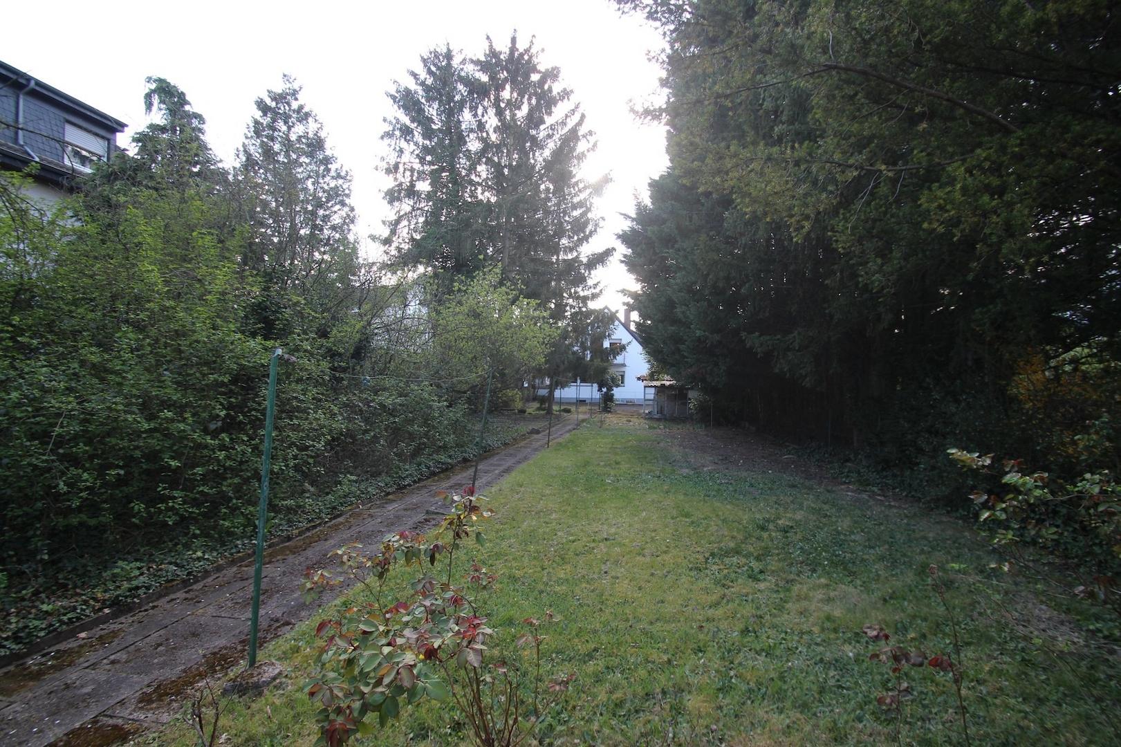 Garten-Grundstück 2