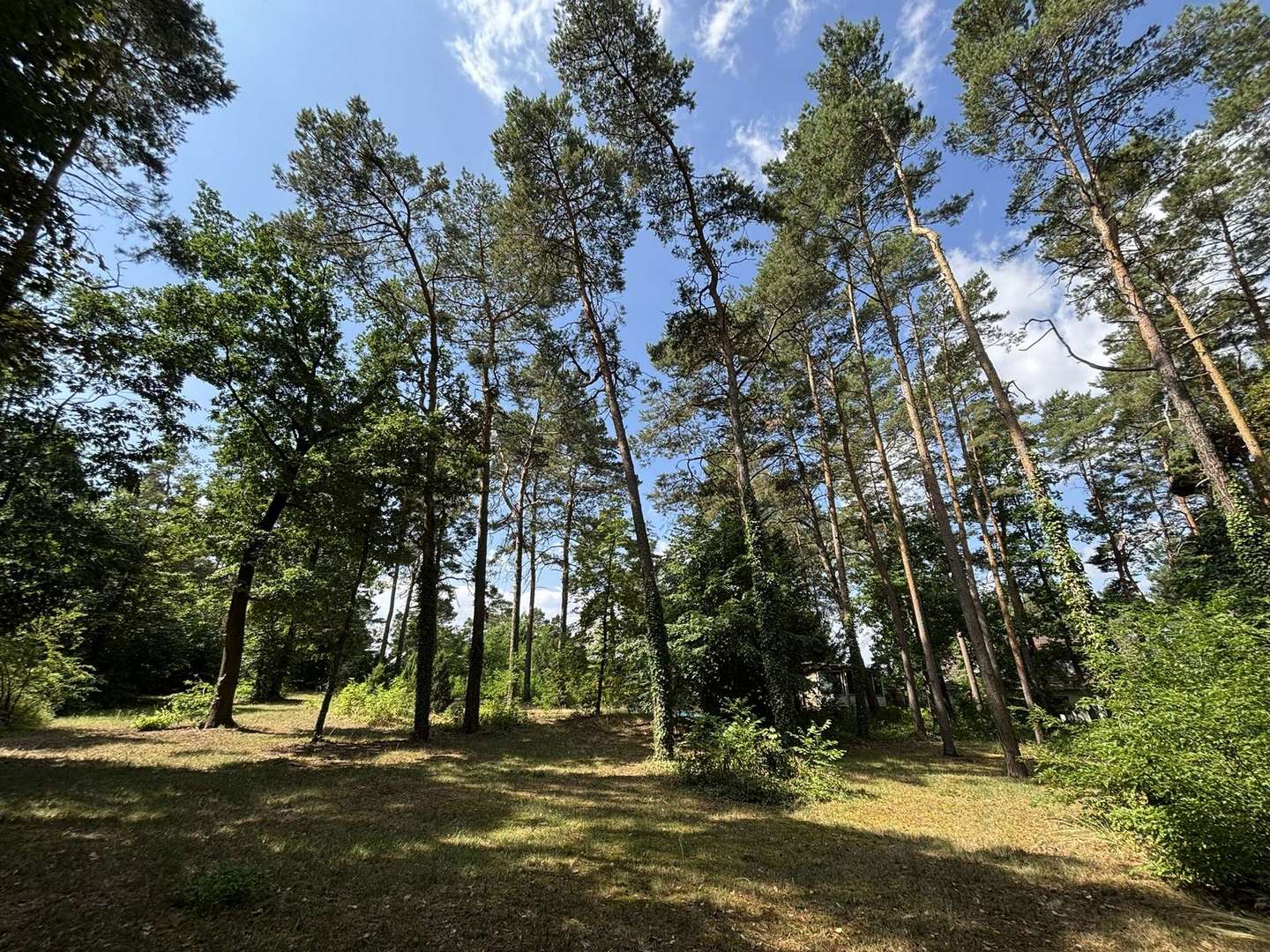 Blick über das Grundstück 