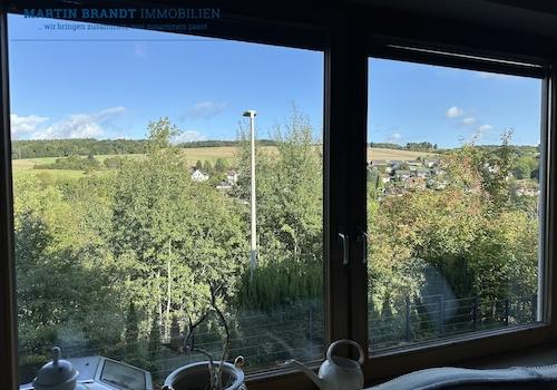 Ausblick auf Niederems