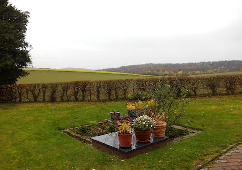 Blick aus dem Wohnbereich nach Süden