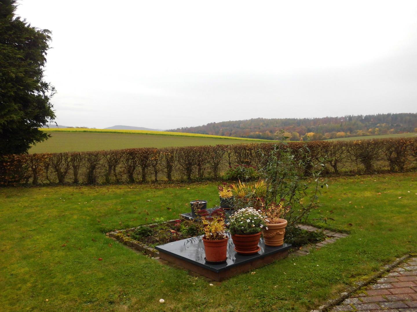 Blick aus dem Wohnbereich nach Süden