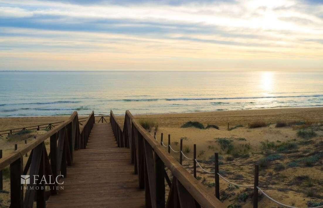 Strand Nahe deines Traumzuhauses!