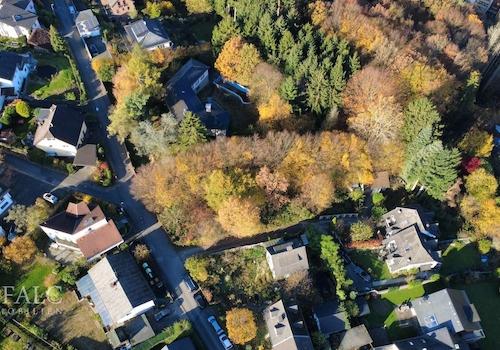 dji_fly_20251107_111332_30_1762510508047_photo_optimized