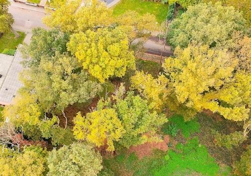 Grundstück von oben