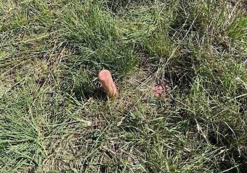 Alle Medien auf dem Grundstück