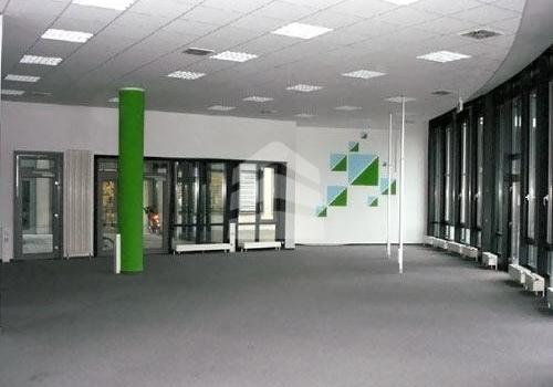 effb8ada-85bc-49e2-b221-0fe5e55aaae3_i_5