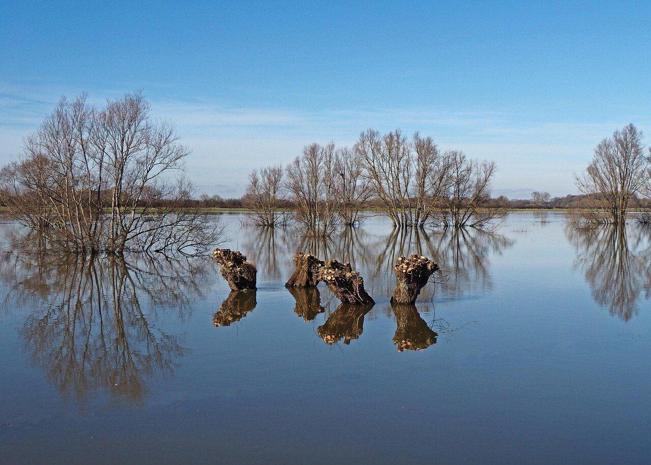 Ferienhaus Terwolde kaufen007