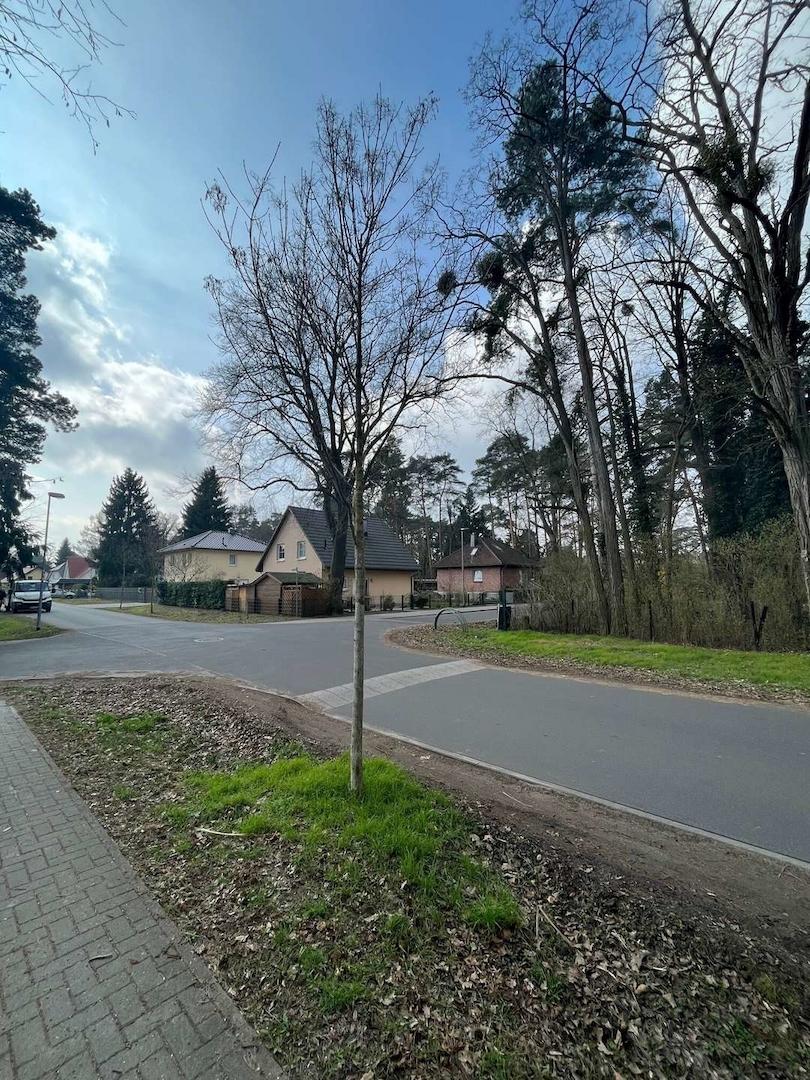 Umgebungsbebauung Moselstraße