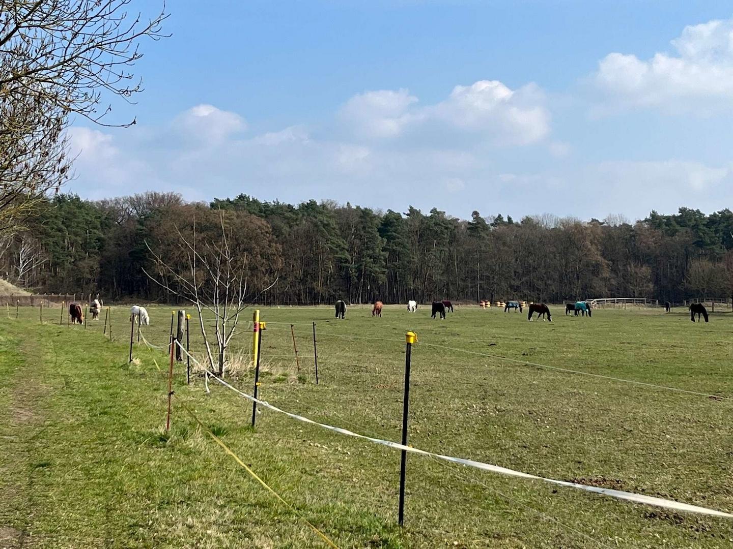 Umgebung Pferdekoppel