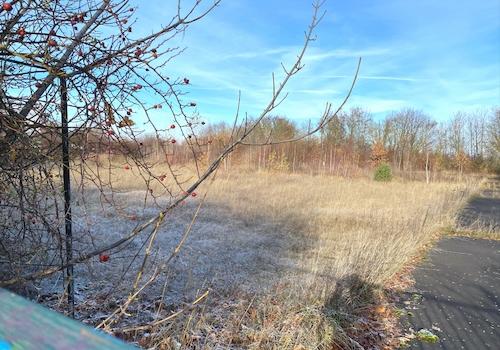 Nachbargrundstück für Erweiterung