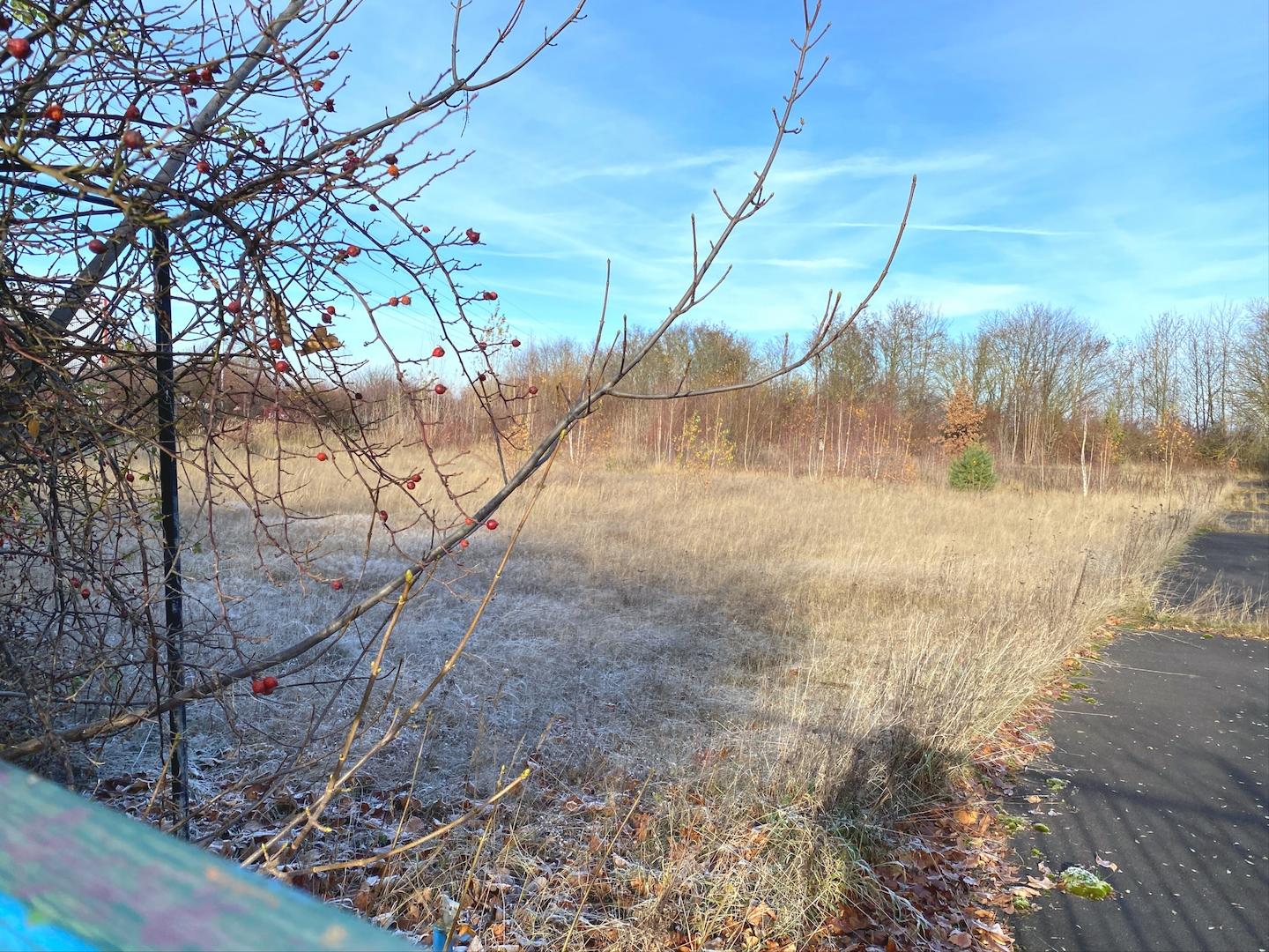 Nachbargrundstück für Erweiterung