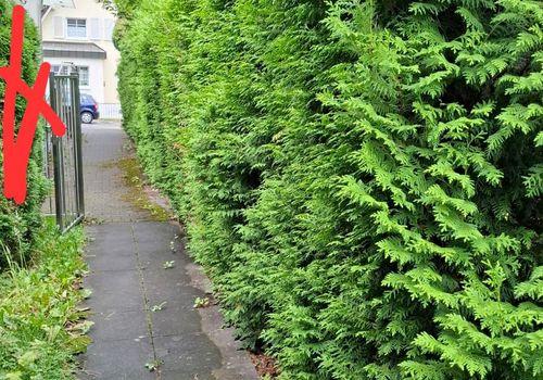 WhatsApp Image 2025-07-22 at 133555