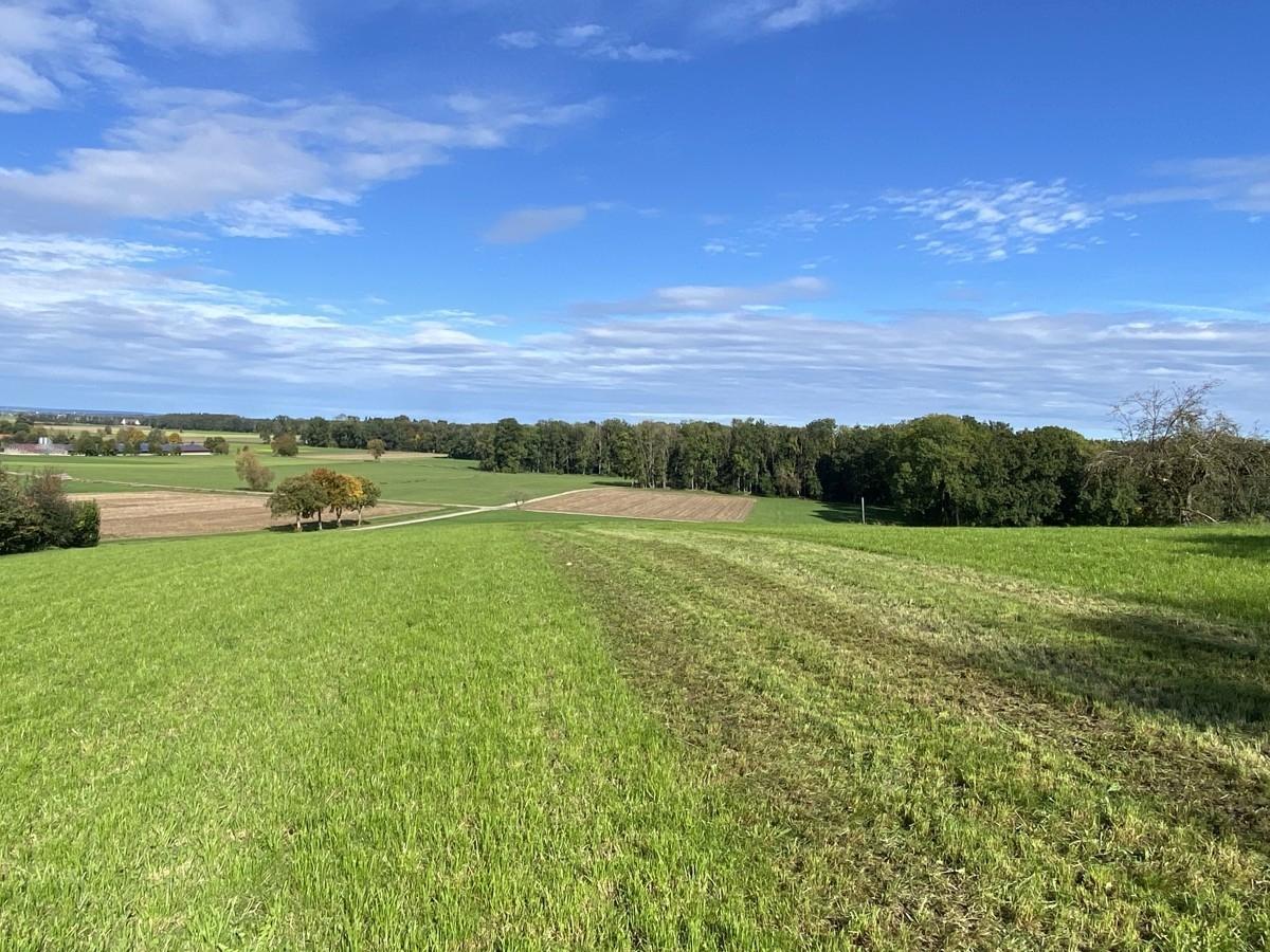 Blick ins Tal