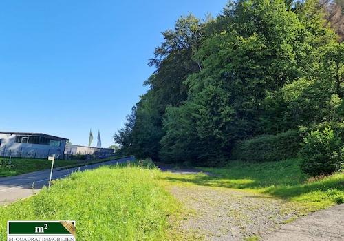 Flurstück 1323 - 642m²