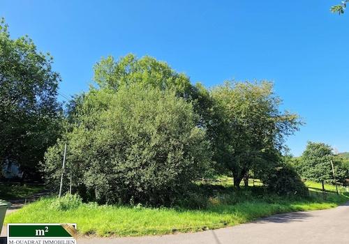 Flurstück 1302 - 305m²