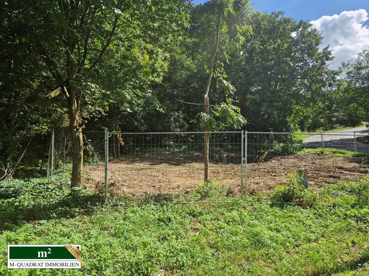 Flurstück 1099 - 1100m² 