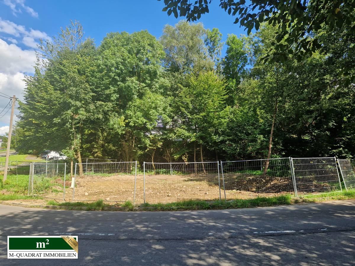 Flurstück 1099 - 1100m²