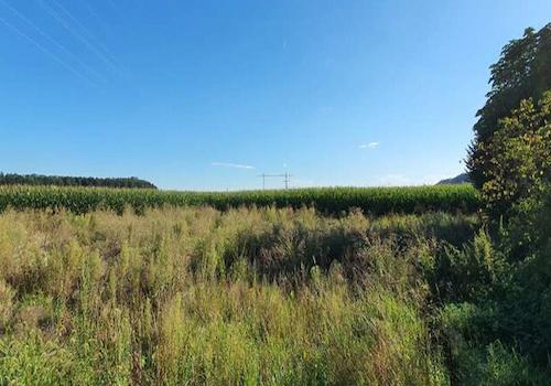 Baugrundstück Jettenbach