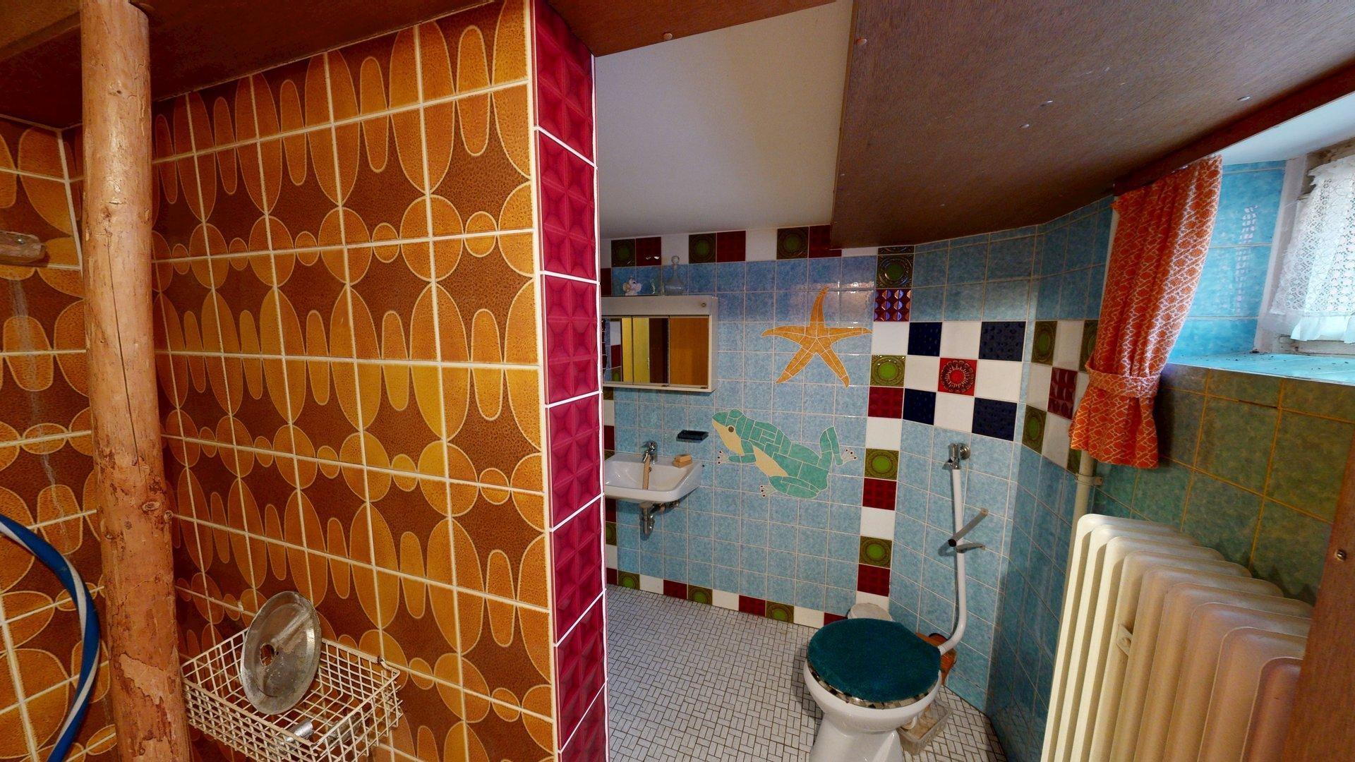 Keller WC mit Dusche