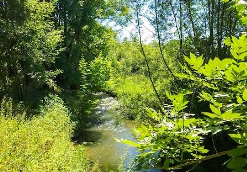 Wesenitz am benachbarten WGP