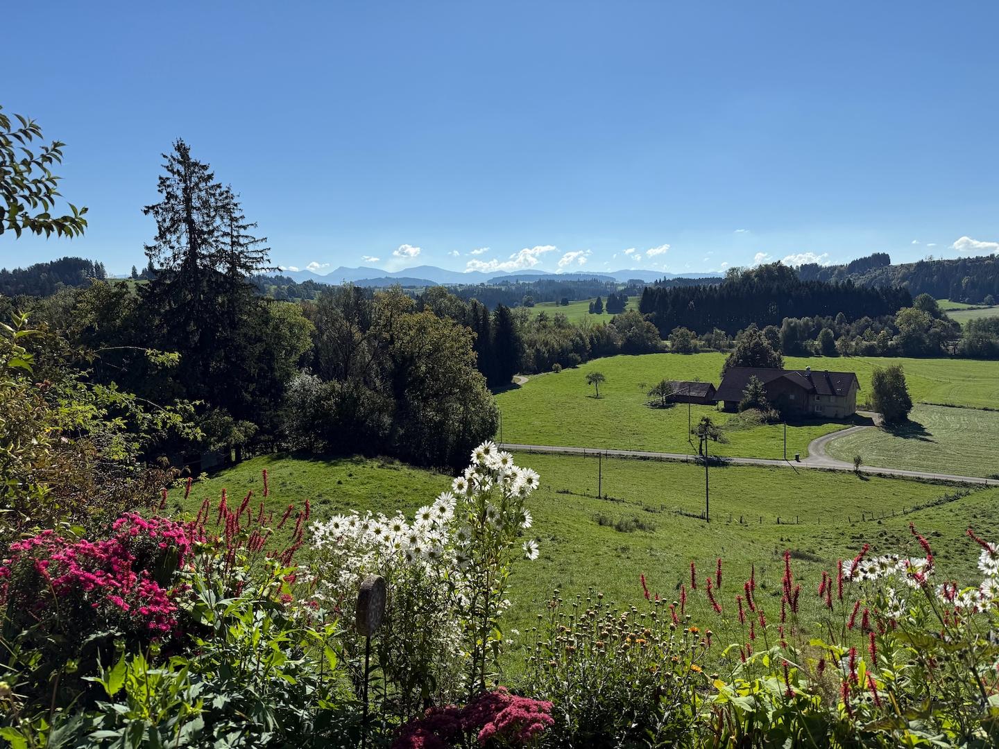 Blick von der Terrasse