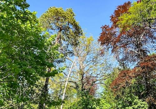 Vielleicht ein Bauplatz (1)