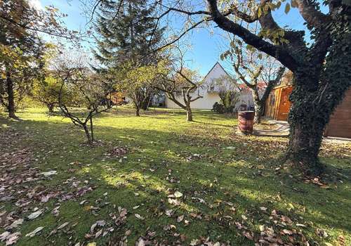 Impression Grundstück