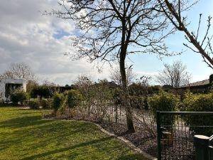 Bild8