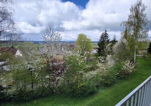 Ausblick_www.villingen.immobilien