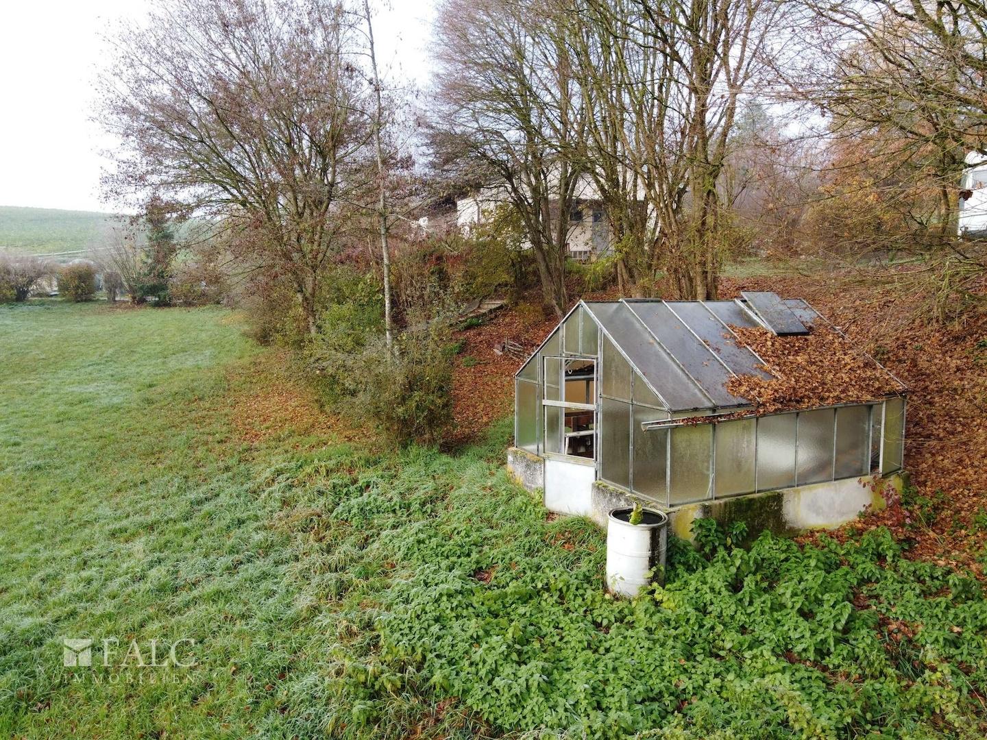 Garten mit Gewächshaus