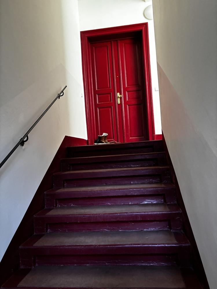 01139 Dresden - Photo 3