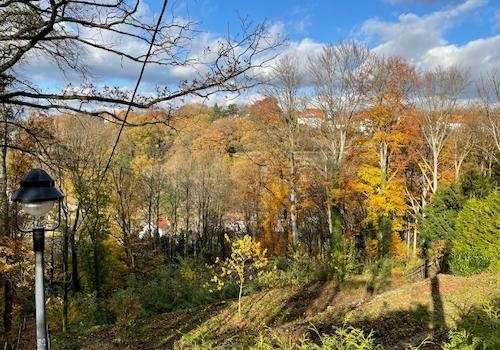 Blick nach Norden (2)