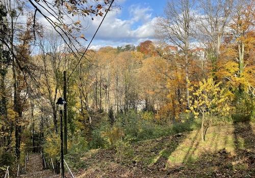 Blick nach Norden (3)