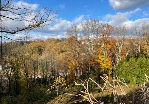 Blick nach Norden (4)