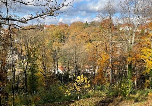 Blick nach Nordwesten