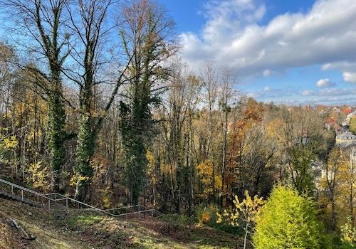 Blick nach Westen (3)