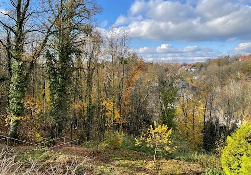 Blick nach Westen (4)