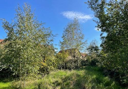 Ansicht von Nordwest (2)