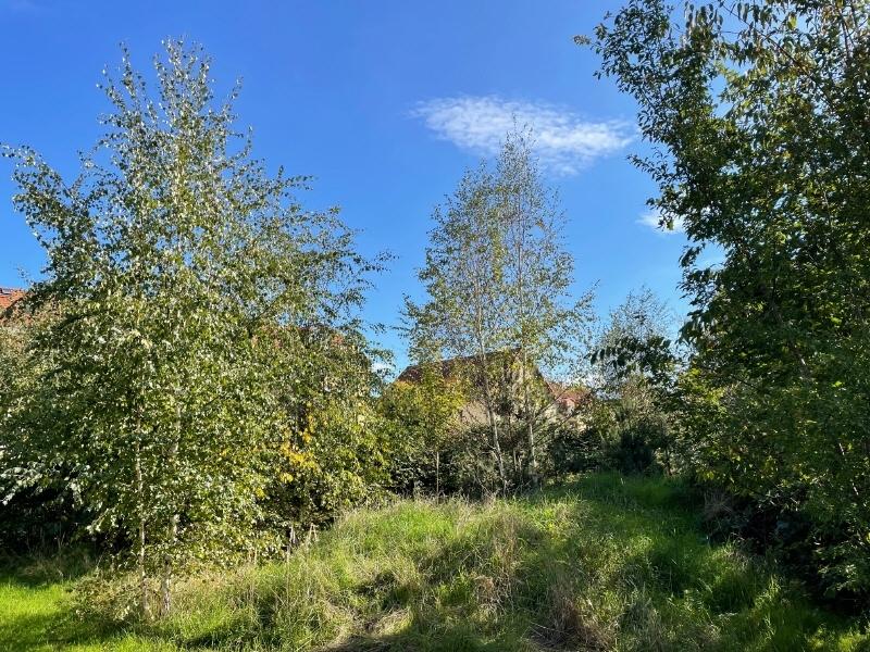 Ansicht von Nordwest (2)