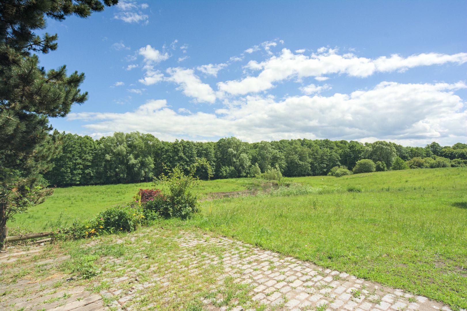 Blick von der Terrasse ins Grüne!