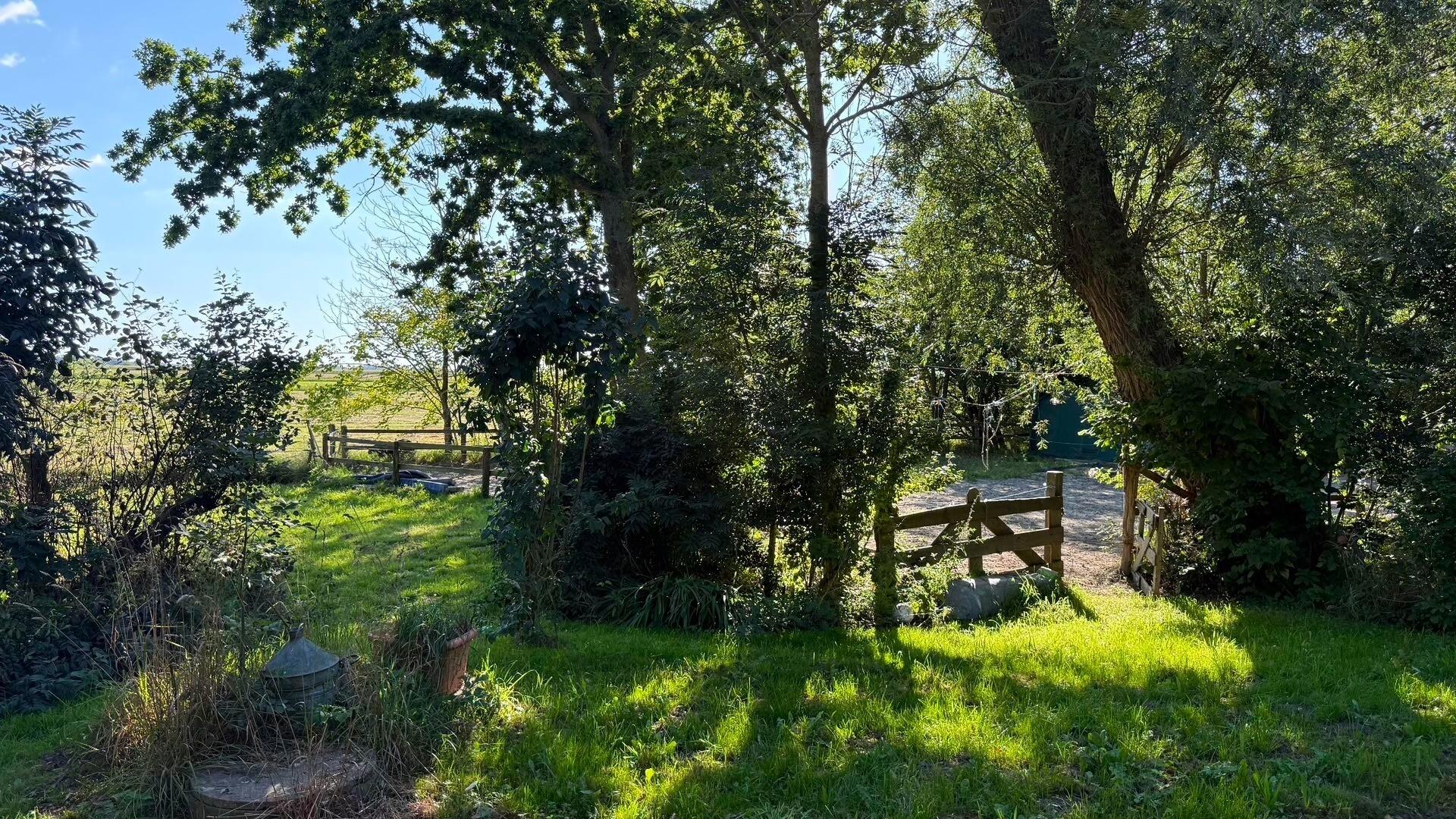 Blick ins Grüne