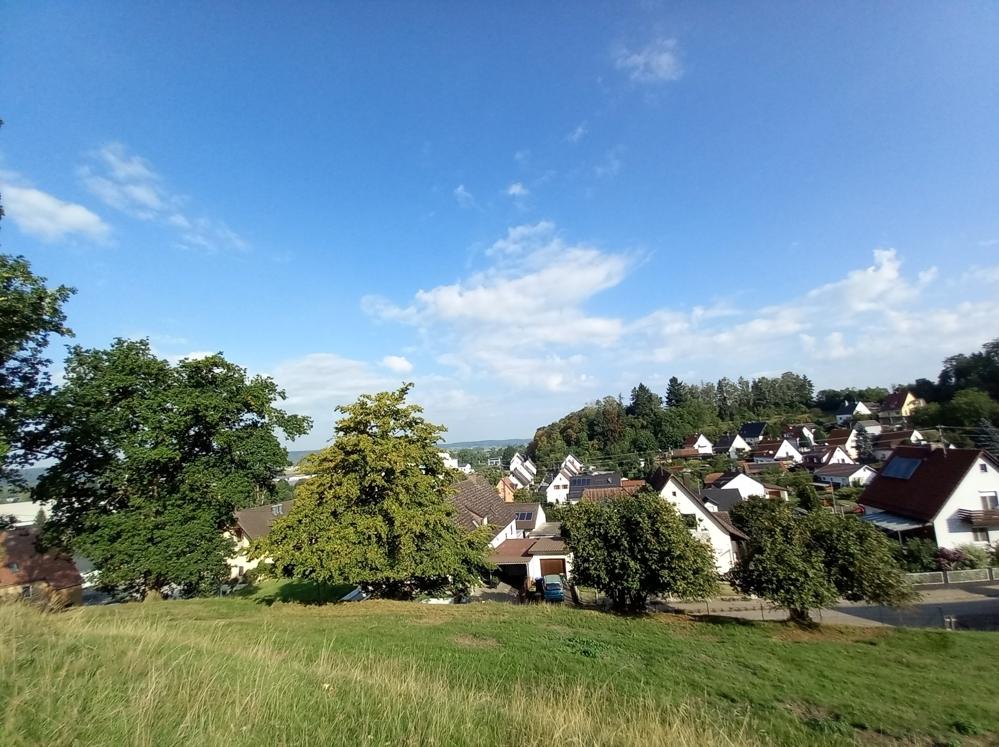 Blick West Sommer